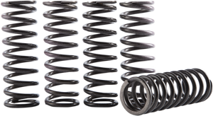 Hinson Racing - Clutch Spring Kit - Hi-Temp Clutch Spring Kit - CS069-5-001 Hinson Racing - Clutch Spring Kit - Hi-Temp Clutch Spring Kit - CS069-5-001