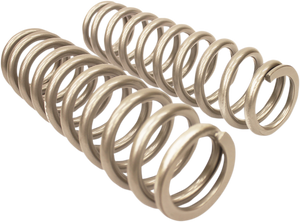 High Lifter - Rear Shock Springs - Silver - Shock Springs - 79-13843