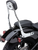 Cobra - Backrest Kit - 14" - Chrome - FXLR - Detachable Backrest Kit - 602-2009