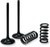 Prox - Valve and Spring Kit - Valve and Spring Kit - 28.SIS1403-2
