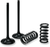 Prox - Valve and Spring Kit - Valve and Spring Kit - 28.SIS3405-2