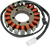 Rick's Motorsport Electric - Stator - Kawasaki - Stator for Kawasaki - 21-222