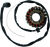 Rick's Motorsport Electric - Stator - Kawasaki - Stator for Kawasaki - 21-216