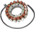 Rick's Motorsport Electric - Stator - Aprilia - Stator for Aprilia - 21-003