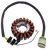 Rick's Motorsport Electric - Stator - Honda - Stator - 21-650