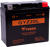 Yuasa - AGM Battery - GYZ20L - GYZ Factory-Activated AGM Maintenance-Free Battery - YUAM720GZ Yuasa - AGM Battery - GYZ20L - GYZ Factory-Activated AGM Maintenance-Free Battery - YUAM720GZ