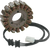 Rick's Motorsport Electric - Stator - Kawasaki - Stator for Kawasaki - 21-209