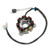 Electrosport - Electrosport Lighting Stator Honda Trx250r - ESG880