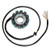Electrosport - Electrosport Stator 12-pole Suzuki Gs550/750/850 (76-on) - ESG015