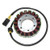 Electrosport - Electrosport Stator Bmw F800 (07-12) - ESG831