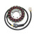 Electrosport - Electrosport Stator Honda Cbr600f2/f3 (91-98) - ESG542