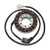 Electrosport - Electrosport Stator Honda Cbr900rr (93-95) - ESG525