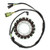 Electrosport - Electrosport Stator Honda Trx350d (86-89) - ESG304