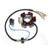 Electrosport - Electrosport Stator Honda Xr100 - ESG122