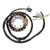 Electrosport - Electrosport Stator Honda Xr650r/400r - High Power (2x100w) - ESG443