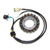 Electrosport - Electrosport Stator Kawasaki Kvf360 Prairie (03-09) - ESG715