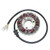 Electrosport - Electrosport Stator Kawasaki Vn700/750 Vulcan - ESG050