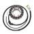 Electrosport - Electrosport Stator Kawasaki Zx-12r (00-01) A1/a2 - ESG653