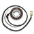 Electrosport - Electrosport Stator Kawasaki Zx-12r (02-03) B1/b2 - ESG591