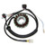 Electrosport - Electrosport Stator Polaris 500(03-07) - ESG163