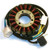Electrosport - Electrosport Stator Suzuki Dr-z400 - ESG180