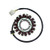 Electrosport - Electrosport Stator Suzuki Gsx-r600/750 (06-on) - ESG221