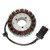 Electrosport - Electrosport Stator Victory Models (02-06) - 4010436 - ESG798