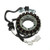 Electrosport - Electrosport Stator Xv650 V-star - High Power (04-on) - ESG652