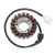 Electrosport - Electrosport Stator Yamaha Fz-1(01-05) - ESG787