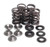 Kibblewhite - Kibblewhite Valve Spring Kit .450" Lift - 80-80030