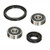 Pivot Work's Inc - Pivot Works-front Wheel Bearing Kit, Honda - PWFWK-H41-070
