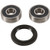 Pivot Work's Inc - Pivot Works-front Wheel Bearing Kit, Suzuki - PWFWK-S34-000