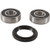 Pivot Work's Inc - Pivot Works-front Wheel Bearing Kit, Suzuki - PWFWK-S35-000