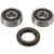Pivot Work's Inc - Pivot Works-front Wheel Bearing Kit, Suzuki - PWFWK-S41-000