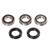 Pivot Work's Inc - Pivot Works-rear Talon Hub Bearing Kit, Honda - PWRWK-Z01-000