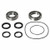 Pivot Work's Inc - Pivot Works-rear Wheel Bearingkit, Kawasaki - PWRWK-K30-000