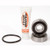 Pivot Work's Inc - Rear Wheel And Seal Kit Sb Honda - PWRWS-H54-000