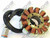 Ricks - Rick's Electric Ski Doo Stator - 24-108