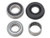 Spi - Spi Chain Case Bearing Kit - SM-03191