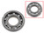 Spi - Spi Crankshaft Bearings - UP-09204