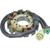 Wildboar - Charging Stator - New - 340-22016