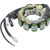 Wildboar - Charging Stator - New - 340-22017 Wildboar - Charging Stator - New - 340-22017