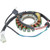 Wildboar - Charging Stator - New - 340-58009