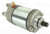 Wildboar - Starter Motor Honda - SMU0030