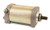 Wildboar - Wild Boar Starter - SND0532