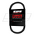Epi - Epi Standard Belt - WE263020