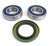 Epi - Epi Performance Wheel Bearing Kit - WE301413