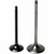 Hotcams - Hotcam's Exhaust Valve Steel Honda Crf 450r - 8400002-1 Hotcams - Hotcam's Exhaust Valve Steel Honda Crf 450r - 8400002-1
