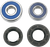Moose Racing - Wheel Bearing Kit - Rear - Wheel Bearing Kit - 25-1206
