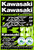 D-cor - Kawasaki Decal Sheet 12"x18" - 40-20-100